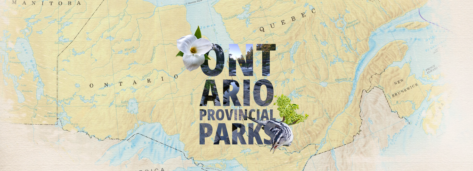 Hero Image for Product Demo Video